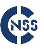 NSS LED Logo